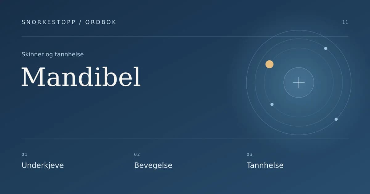 Mandibel: Underkjeve, Bevegelse, Tannhelse.
