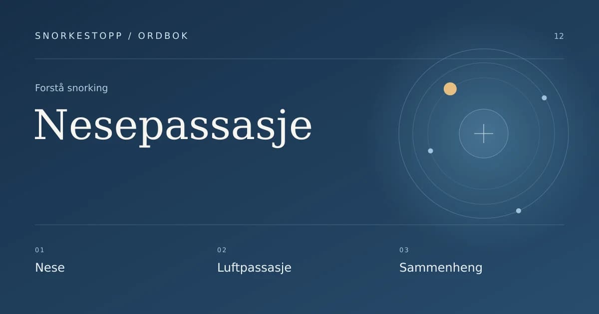 Nesepassasje: Nese, Luftpassasje, Sammenheng.